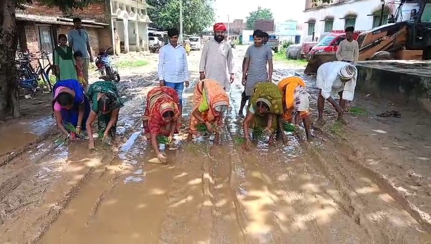 जल जमा वाले सड़क पर ग्रामीणों रोपा धान,किया विरोध