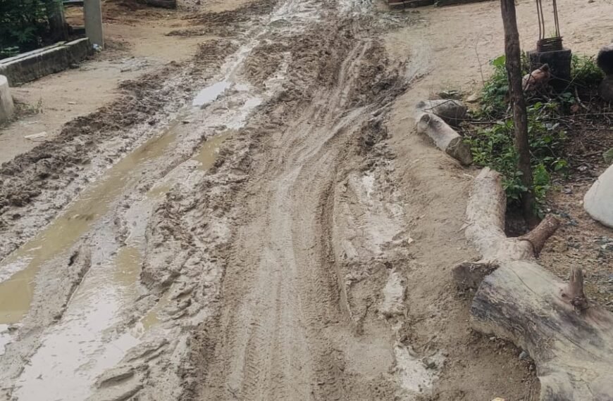 झपही टोला की जर्जर सड़क…