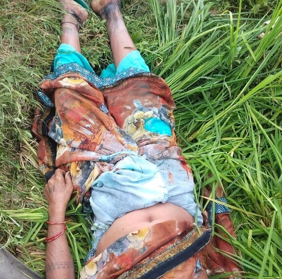 बरडीहा में आकाशीय बिजली गिरने से महिला व…
