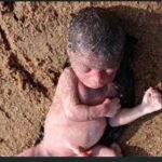 “मां के कुकर्म से कांप उठा दिल